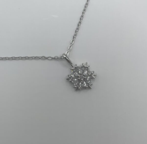 S__64053270 Snowflake | 項鍊